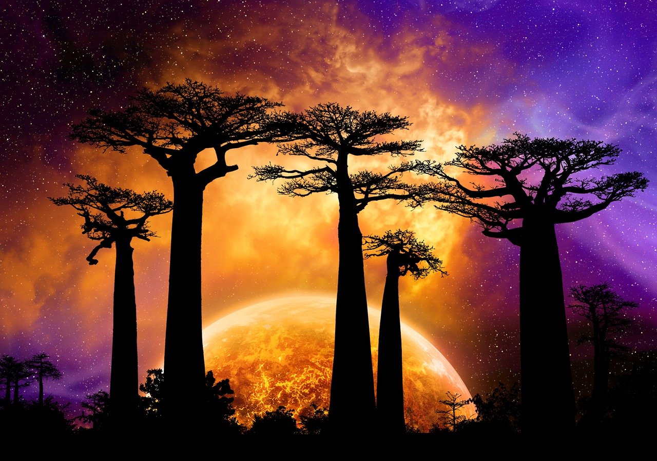 The Discovery of New Exoplanets - What It Means for Us